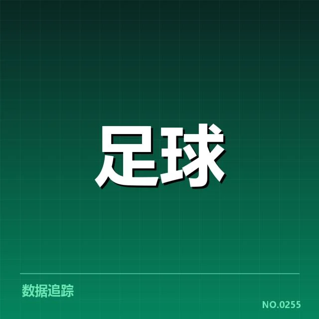 德国杯观赛人群与参与数据概览